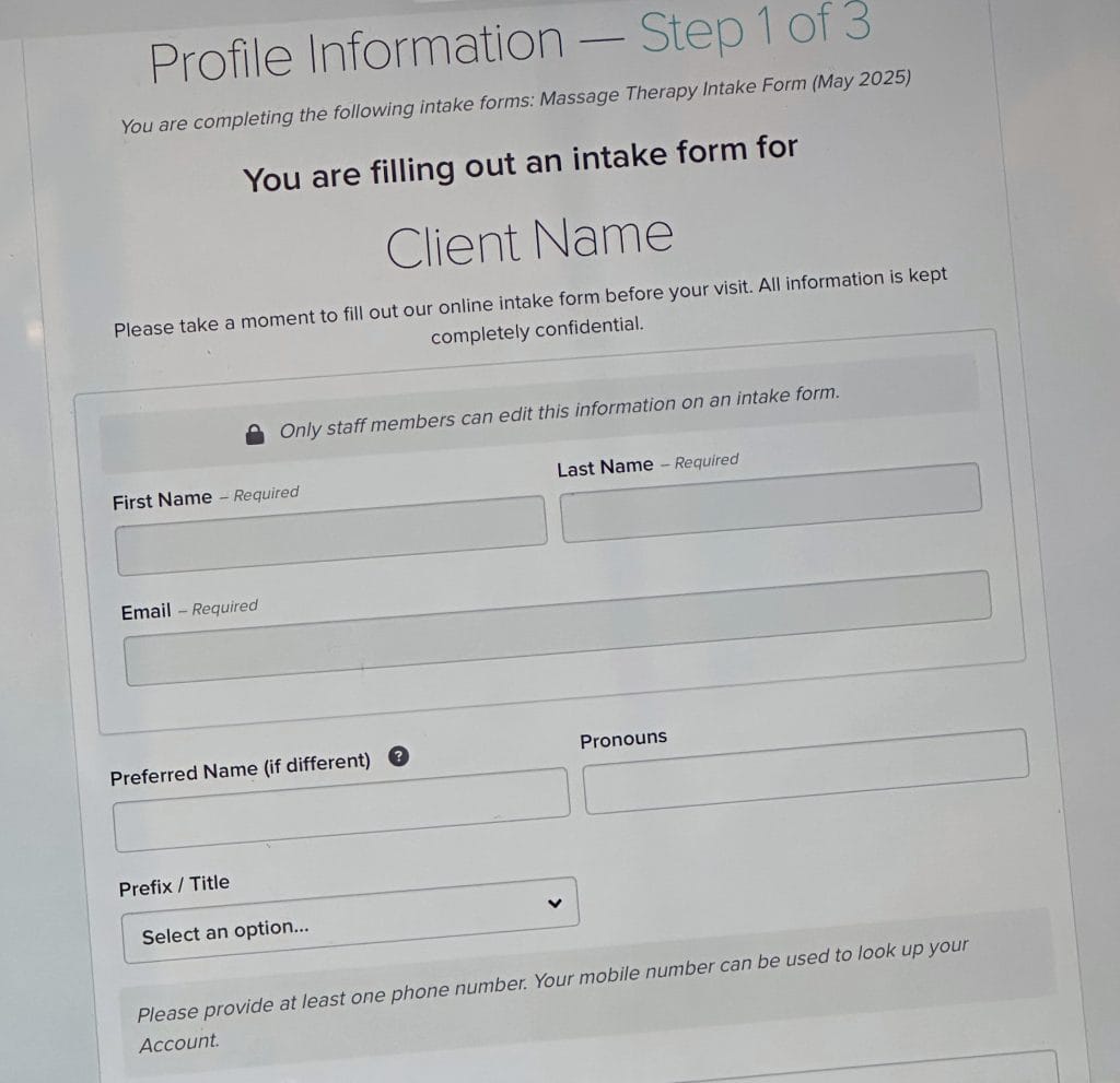 A screenshot of Halcyon House's client intake forms.